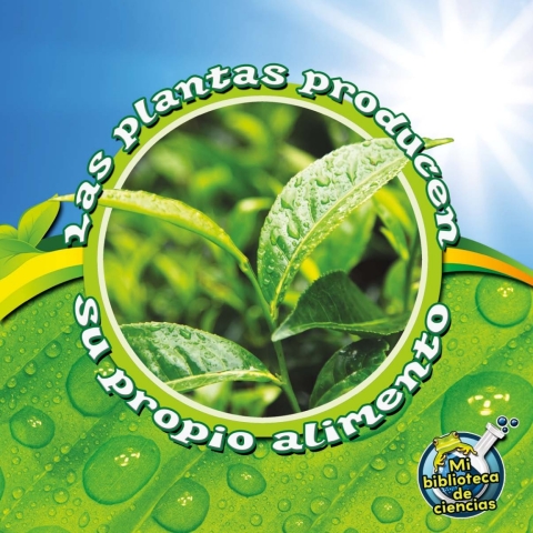 Las plantas producen su propio alimento