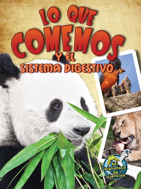 Lo que comemos y el sistema digestivo