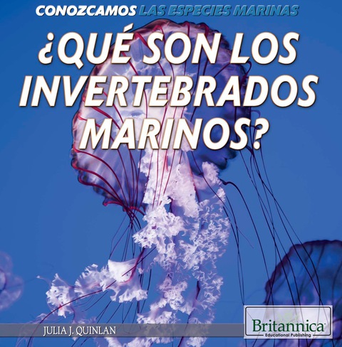 ¿Qué son los invertebrados marinos? (What Are Sea Invertebrates?)