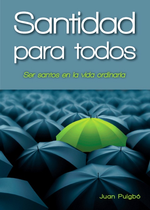 Santidad para todos : Para ser santos en la vida ordinaria