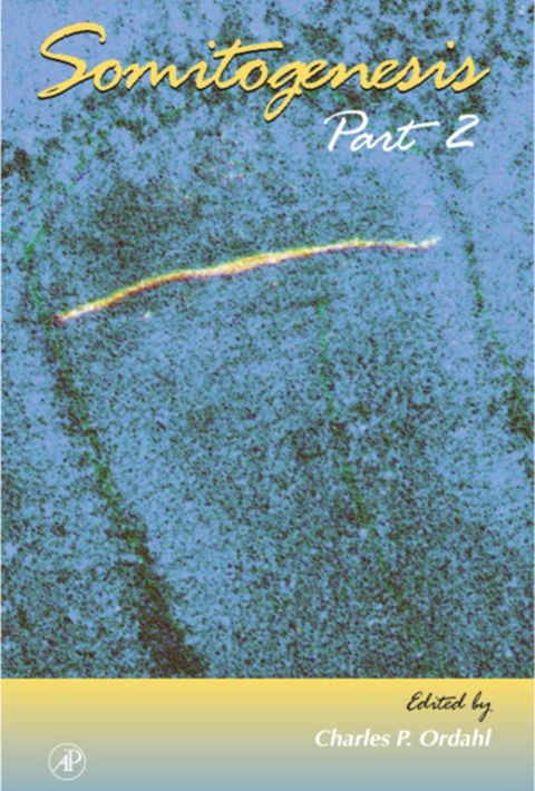 Somitogenesis, Part 2