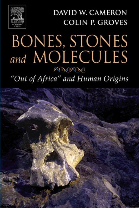 Bones, Stones and Molecules: «Out of Africa» and Human Origins