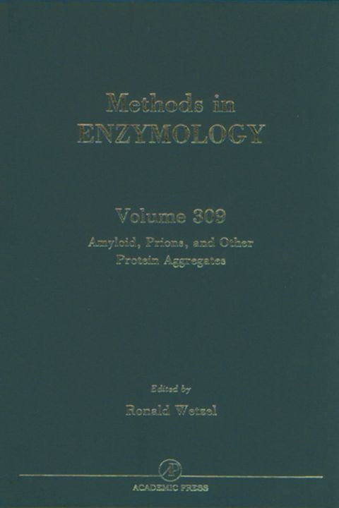Amyloid, Prions, and Other Protein Aggregates