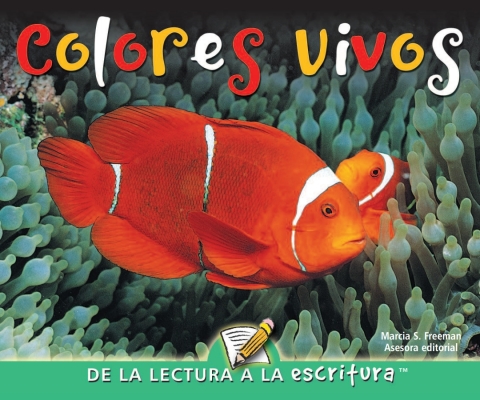 Colores vivos