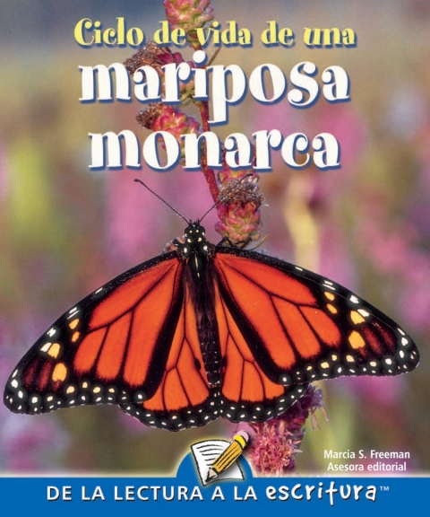 Ciclo de vida de una mariposa monarca