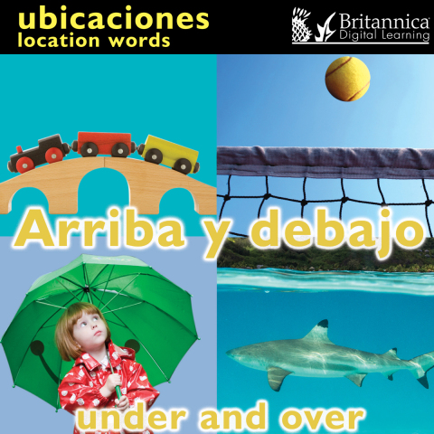 Arriba y debajo (Under and Over:Location Words)