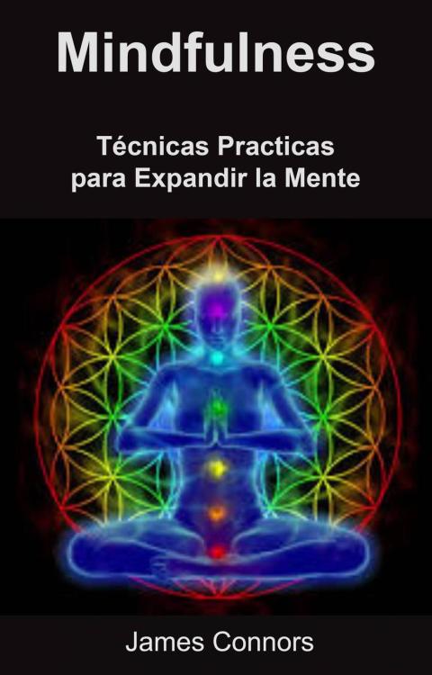 Mindfulness: Técnicas Practicas para Expandir la Mente